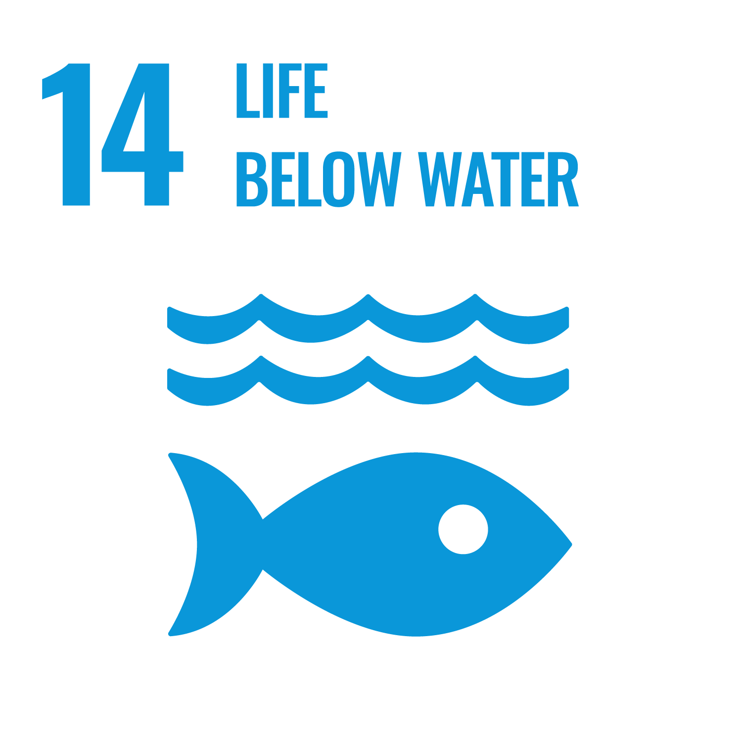 SDG 14