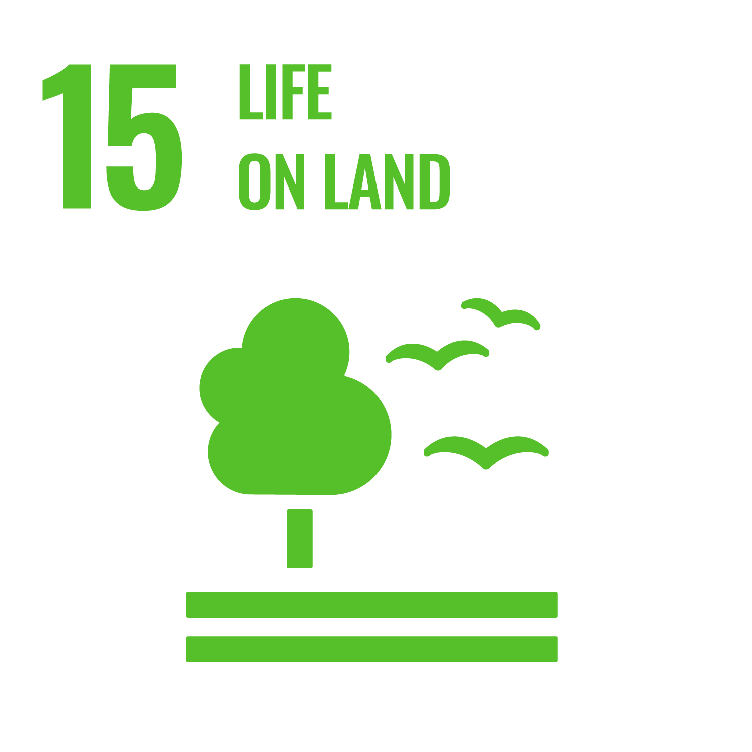 SDG 15