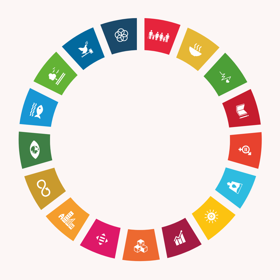 SDG Wheel